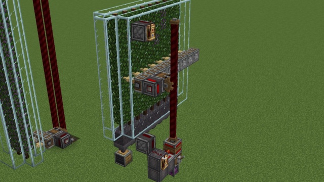 Featured image of Simple Vinery Grape Farm